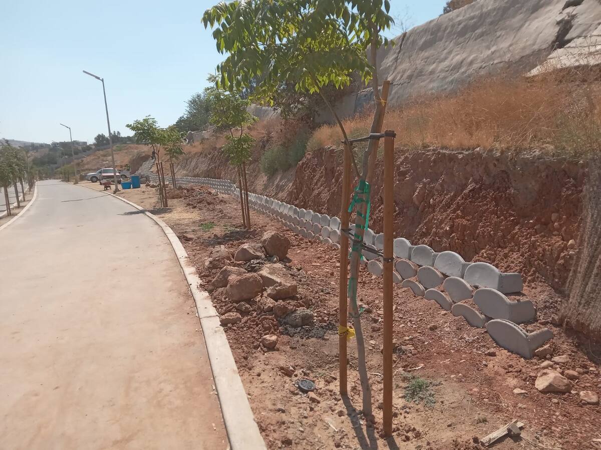 Se considera la construcción de acondicionamiento de zonas de talud en área de juegos, rampa y adecuación en área de tobogán, así como la construcción de muros de contención, módulos sanitarios en el acceso 3 y palapas individuales.