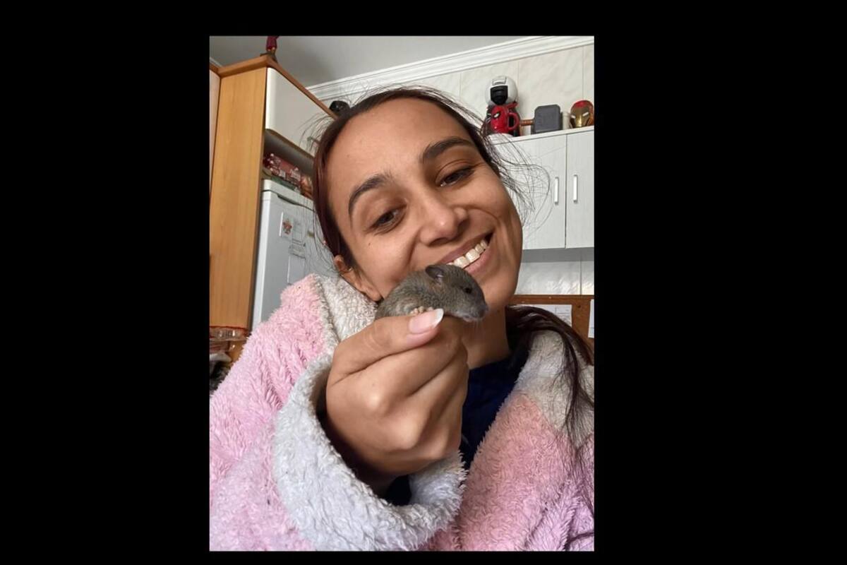 VIRAL TIKTOK: Joven encuentra una ratita en la boca de su mascota y la pone a salvo