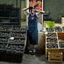 El aguacate podría bajar de precio en México tras la suspensión de exportaciones a Estados Unidos