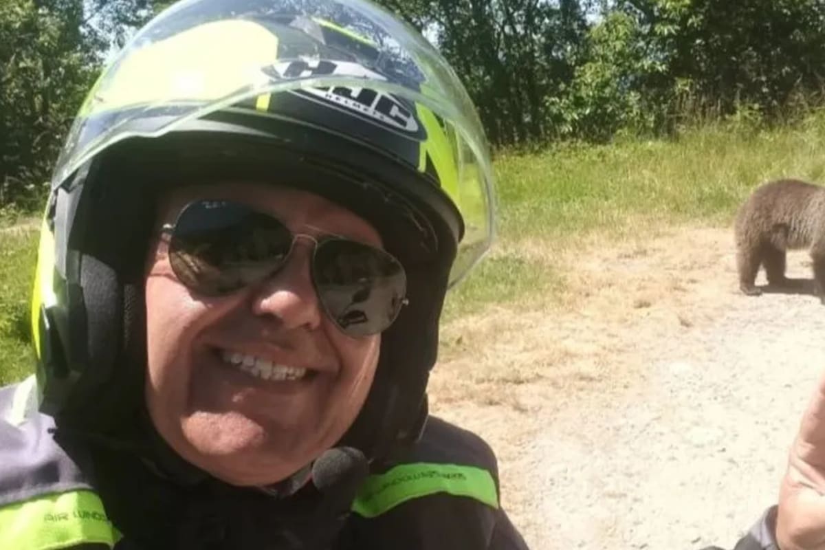 Turista italiano muere tras ser atacado por una osa mientras intentaba fotografiarla