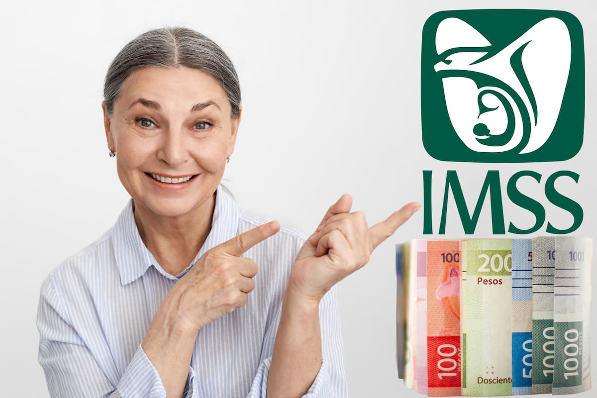 ¿De cuánto es la pensión mínima garantizada en 2025?