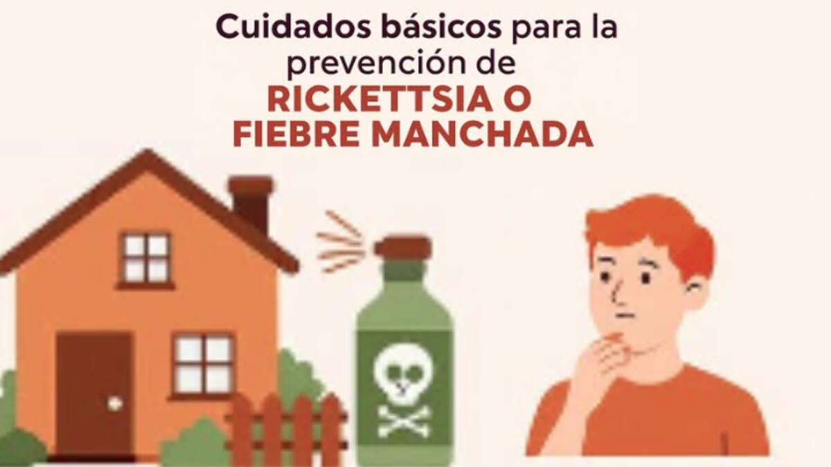 Fiebre manchada puede ser mortal: alertan por riesgo de Rickettsia en personas, perros y gatos en Sonora