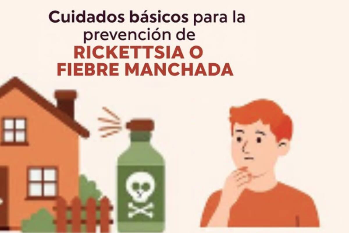 Fiebre manchada puede ser mortal: alertan por riesgo de Rickettsia en personas, perros y gatos en Sonora