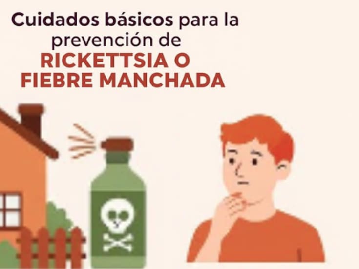Fiebre manchada puede ser mortal: alertan por riesgo de Rickettsia en personas, perros y gatos en Sonora