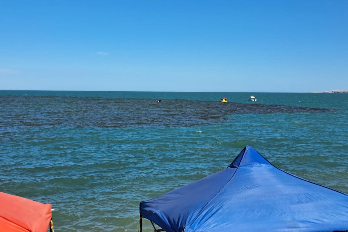 No era petróleo; presunta mancha de combustible en playa de San Felipe resultó ser un fenómeno natural