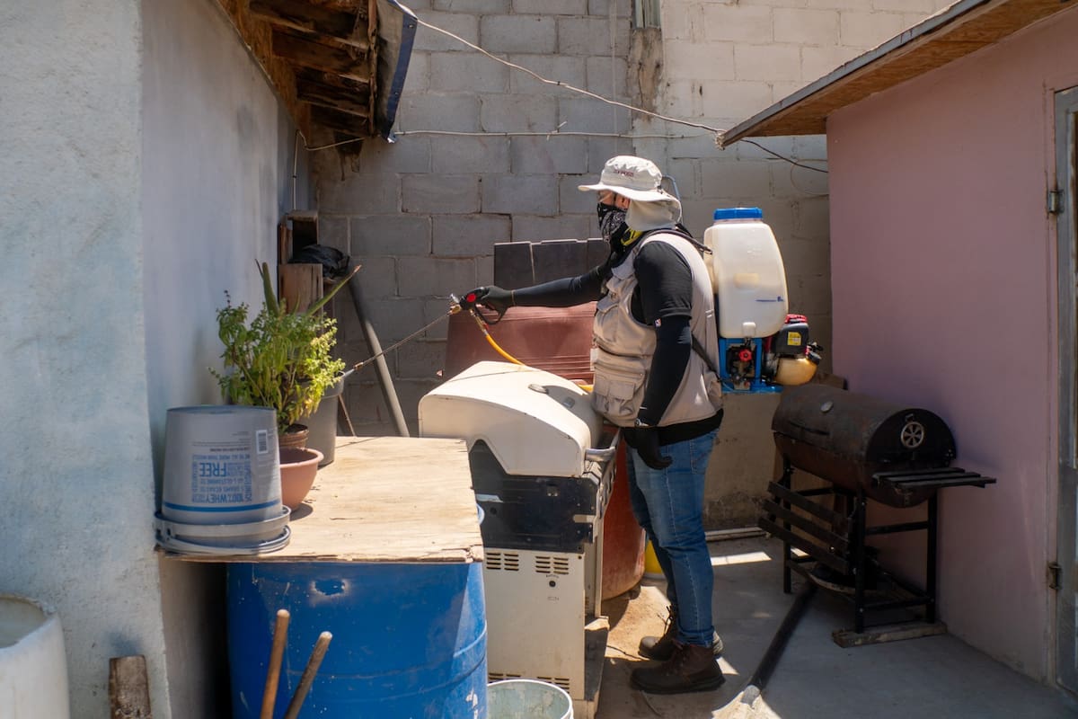 Llaman a prevenir y detectar la rickettsiosis en zonas vulnerables de Tijuana