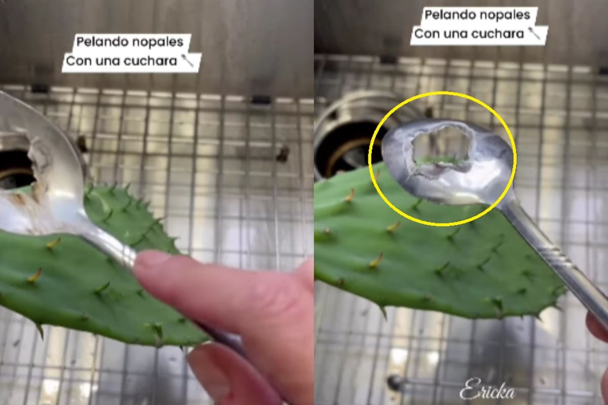 Mujer comparte su creativa técnica para pelar nopales y se vuelve viral