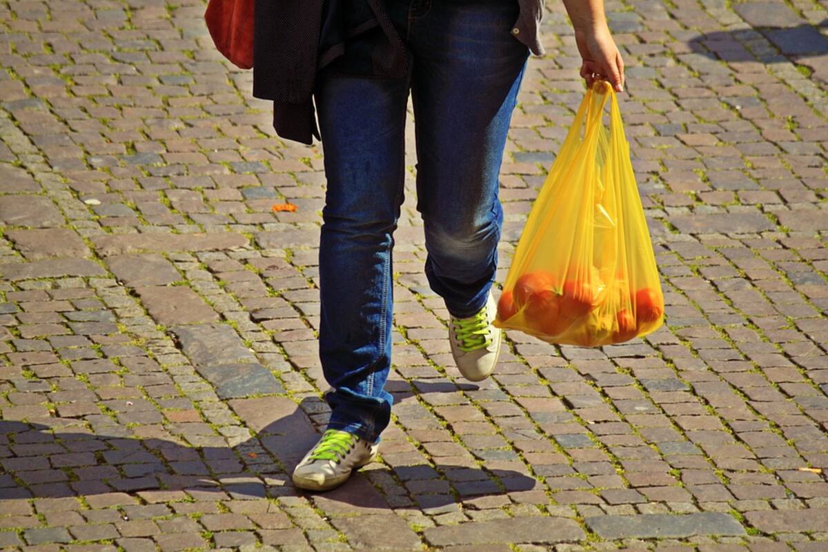 Los daños a la economía de la prohibición de bolsas de plástico