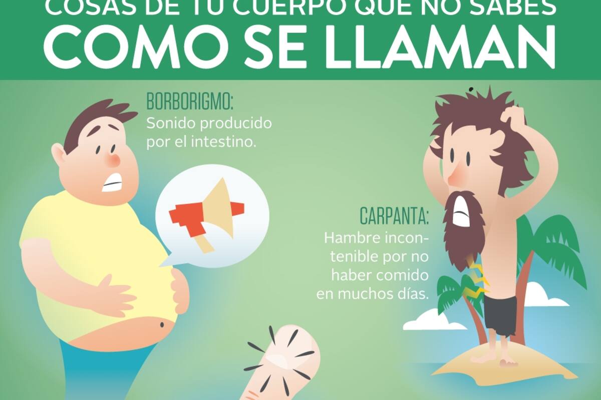 Cosas de tu cuerpo que no sabes como se llaman