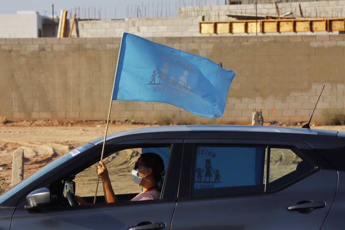 Seguiremos de pie esperando ser escuchados por los diputados: grupos provida