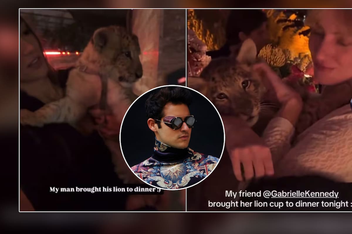 Exhiben a un león bebé en fiesta de Polanco acusando tráfico animal; DJ brasileño que sería su dueño responde