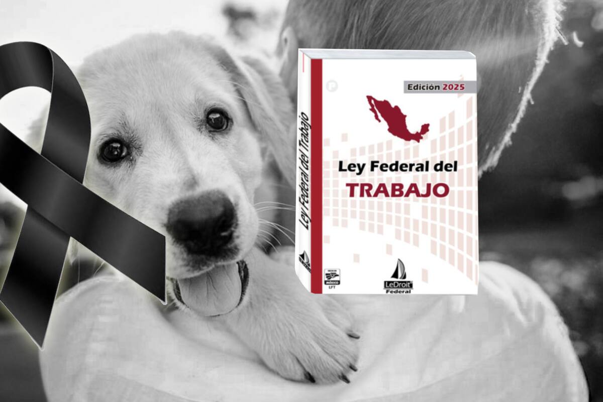 Proponen descanso obligatorio a trabajadores por muerte de familiar o su mascota, así es la iniciativa de reforma a la Ley Federal del Trabajo