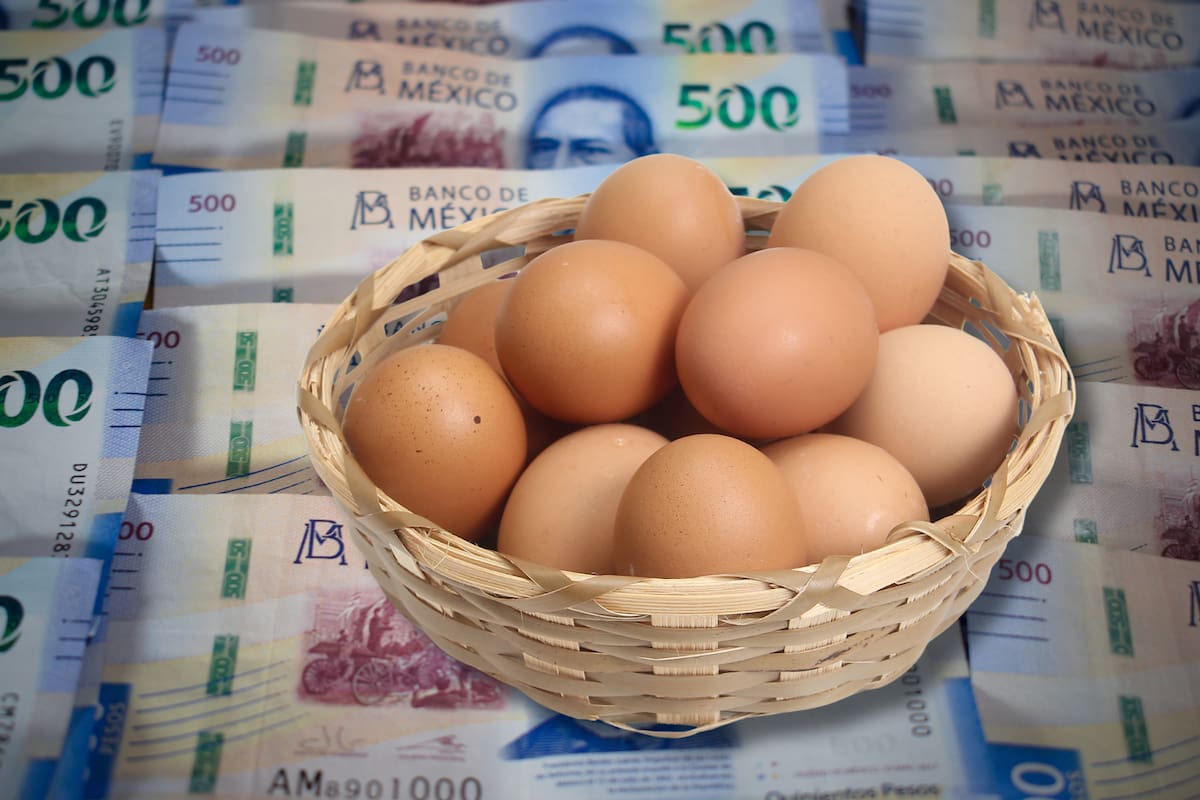 ¿Cuánto cuesta el kilo de huevo? El SNIIM muestra diferencias de hasta 23 pesos entre mercados y revela dónde se vende más barato