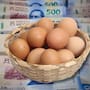 ¿Cuánto cuesta el kilo de huevo? El SNIIM muestra diferencias de hasta 23 pesos entre mercados y revela dónde se vende más barato