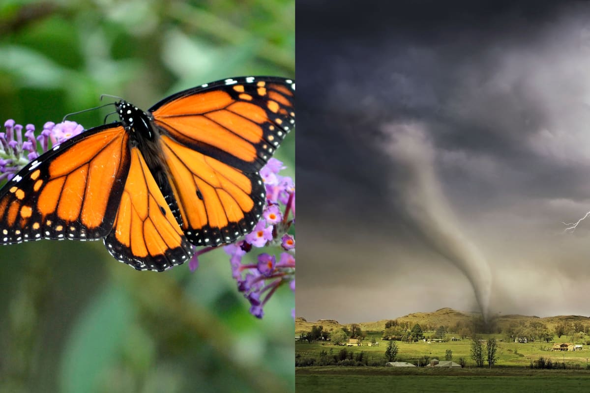 ¿Qué es el efecto mariposa?