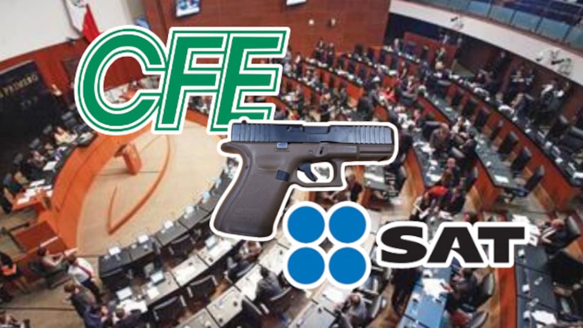 ¡Aprobada! Reforma para que empleados de CFE, SAT y otras dependencias porten armas pasa en “fast track” por el Senado