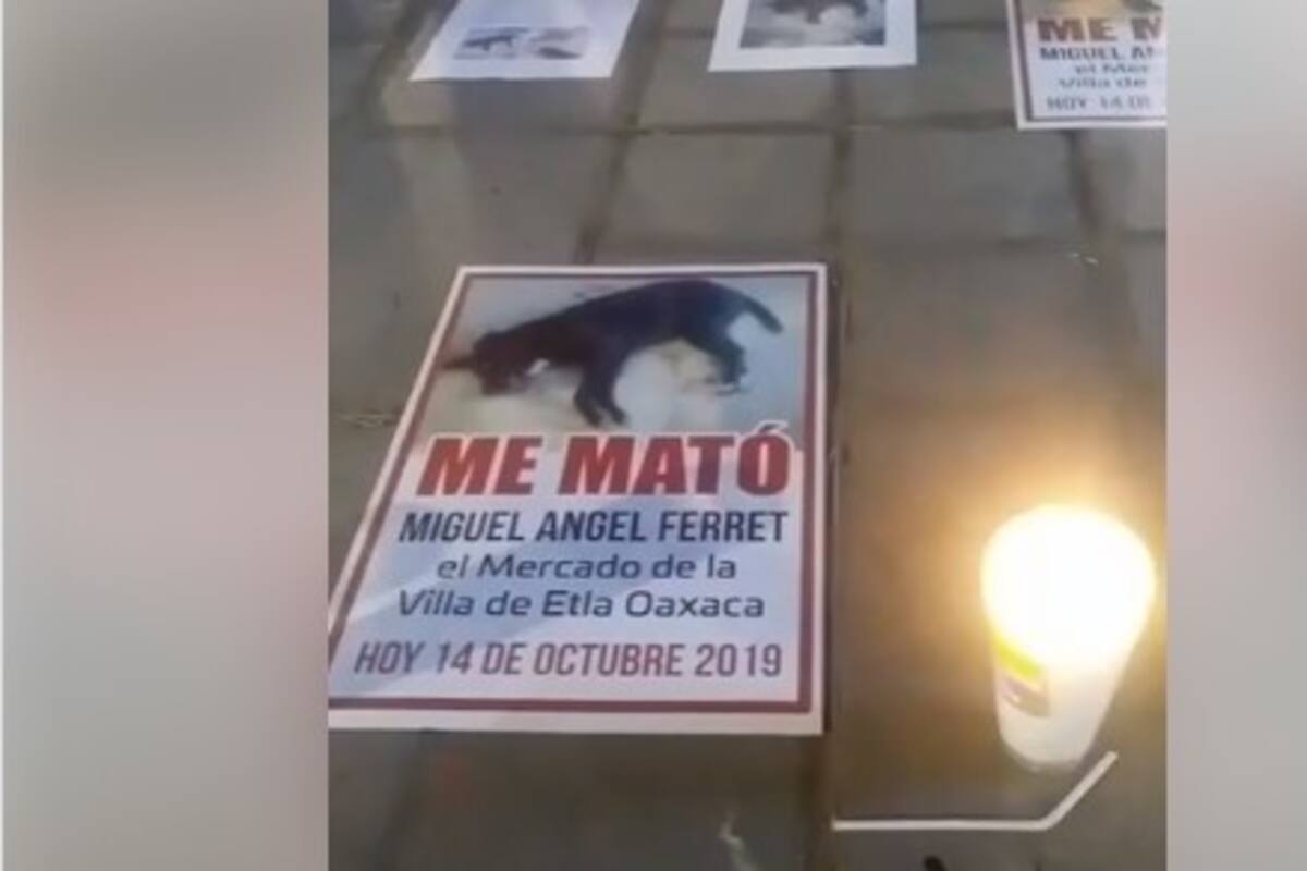 ¡A sangre fría! Carnicero mata a cuchilladas a perrita en Oaxaca