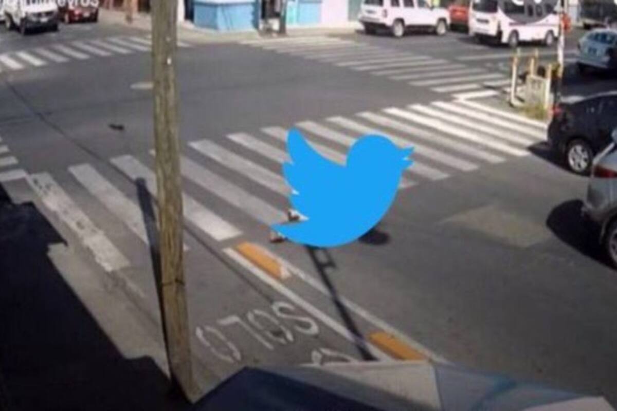 ¡No es tu Internet! Twitter falla a nivel global