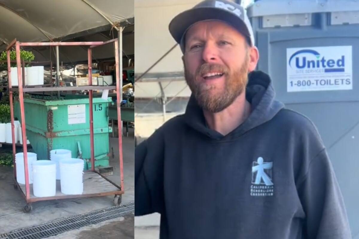 “Mis compatriotas no trabajan. Por eso prefiero contratar migrantes”, declara empresario estadounidense