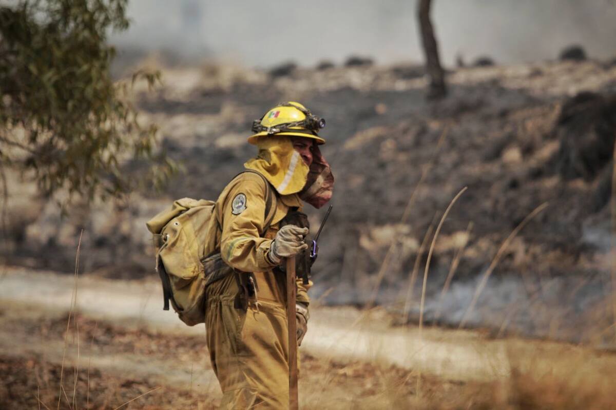 Tras 60 horas de combate, controlan incendio forestal en Bosque La Primavera