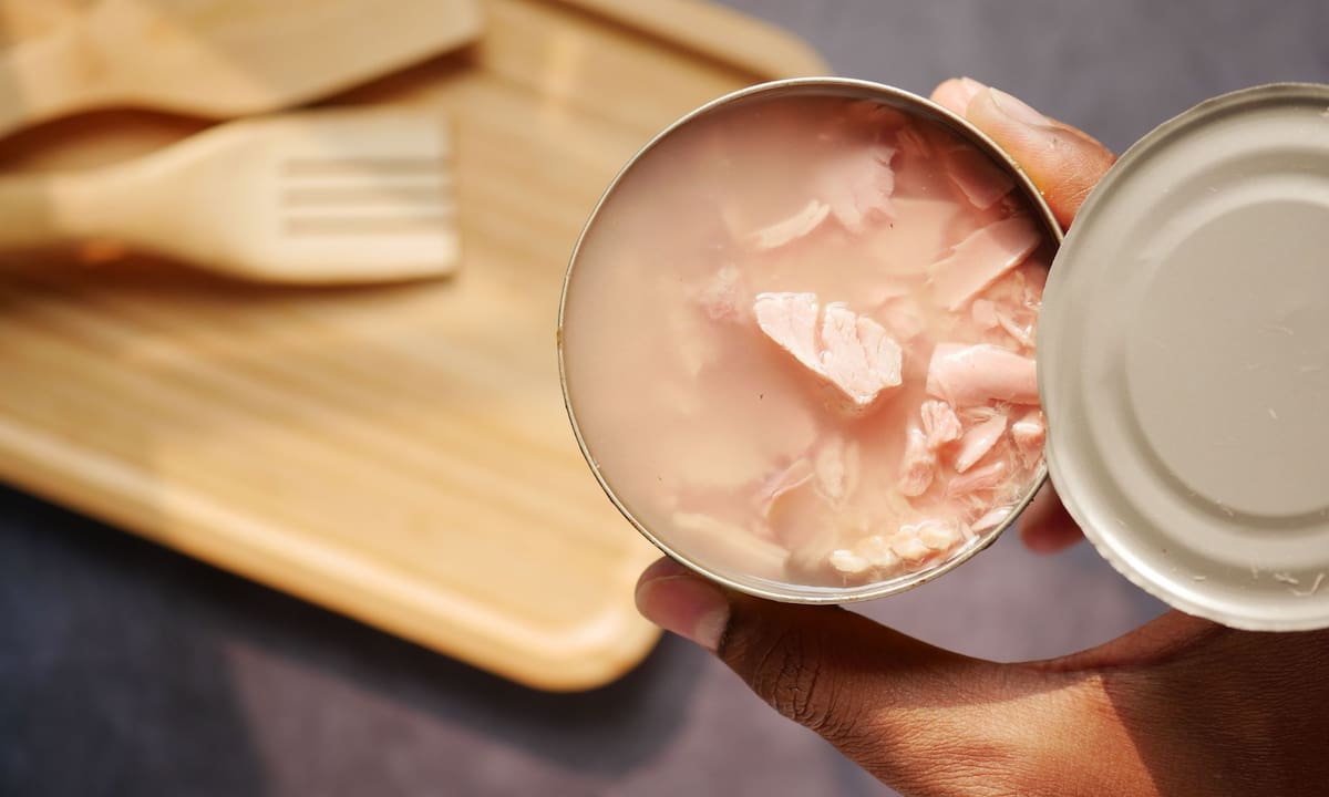 Esta es la diferencia clave entre el atún en agua y en aceite; mientras uno ofrece una textura firme ideal para mezclas con mayonesa, otro aporta la jugosidad que necesitan tus pastas y tostadas | Pexels