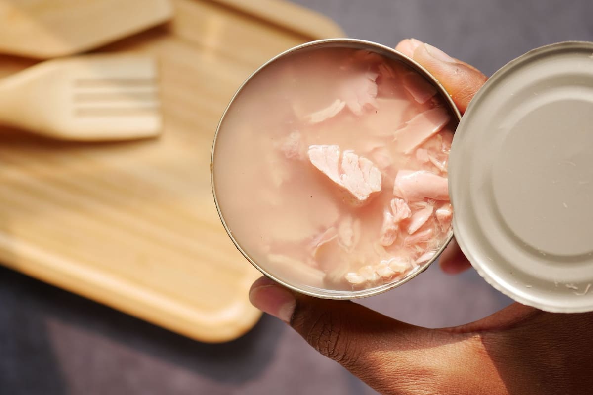 Mientras el atún en agua es perfecto para mezclas con mayonesa por su firmeza, la versión en aceite es ideal para pastas o tostadas debido a su jugosidad; descubre las diferencias clave para elegir el mejor