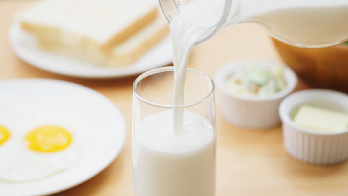 La leche sigue siendo un alimento relevante en la adultez por su aporte de proteínas de alto valor biológico, calcio y vitaminas esenciales. Foto: Canva