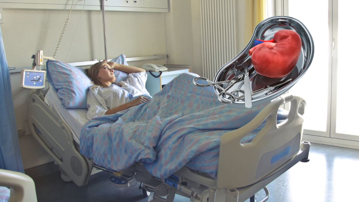 ¿Qué pasa dentro del cuerpo cuando recibe un riñón que perteneció a otra persona? El nuevo órgano debe integrarse al organismo mientras los médicos trabajan para protegerlo del rechazo y conservar su funcionamiento