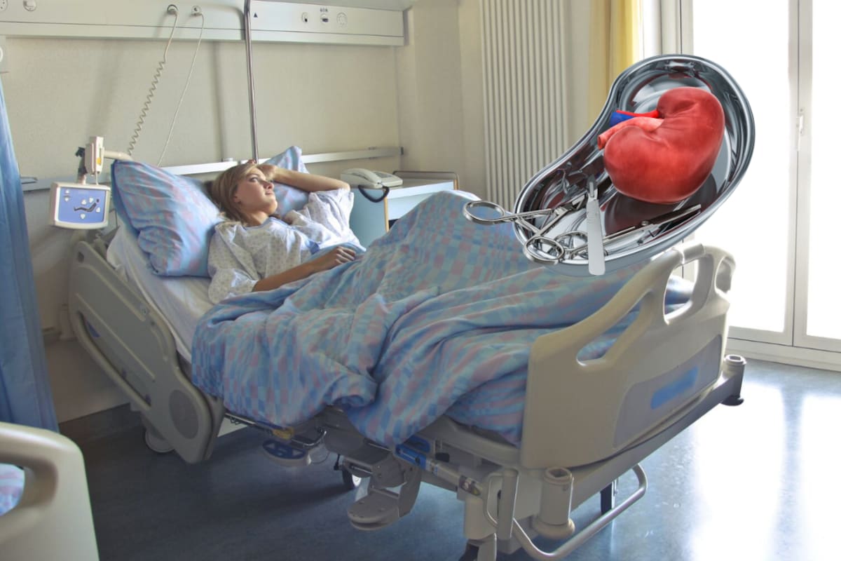 ¿Qué pasa dentro del cuerpo cuando recibe un riñón que perteneció a otra persona? El nuevo órgano debe integrarse al organismo mientras los médicos trabajan para protegerlo del rechazo y conservar su funcionamiento