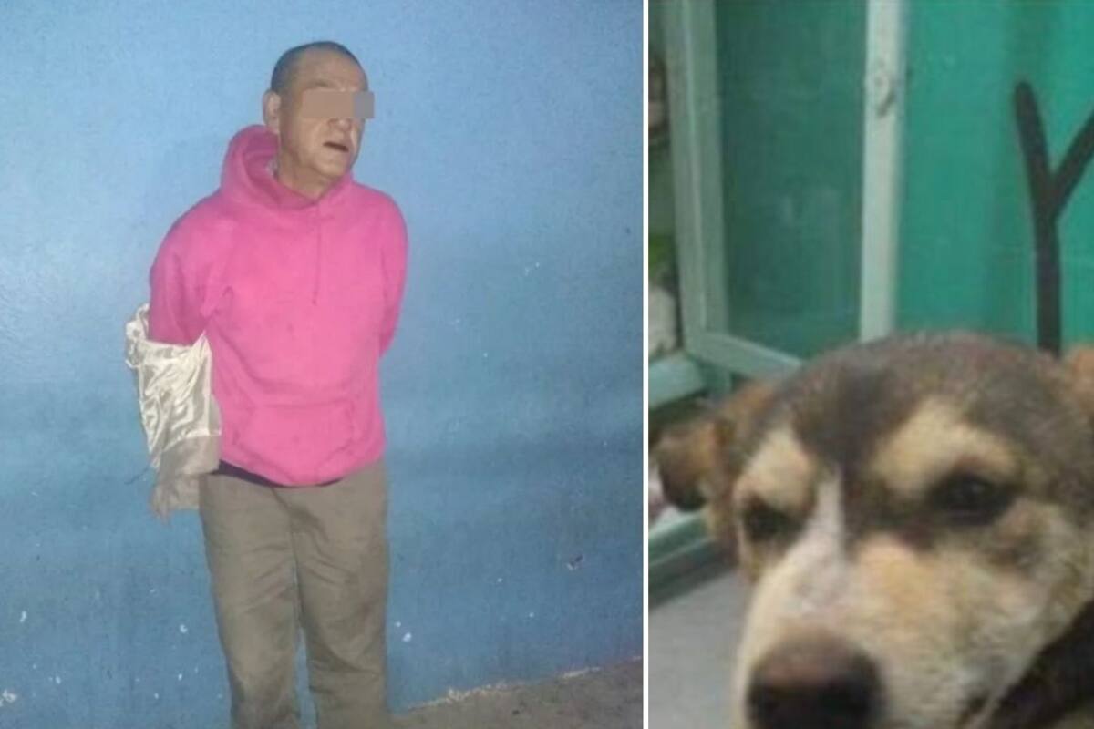 Presunto violador de la perrita 'Mati' es trasladado al penal de Neza Bordo