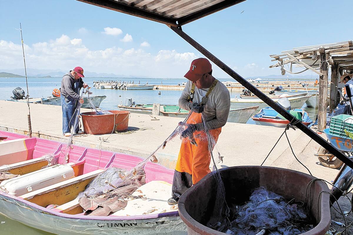 Se desploman ventas de pescado y mariscos