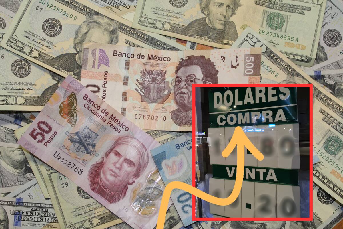 Dólar vs Peso: Así se cotiza el dólar en los principales bancos hoy domingo 17 de noviembre de 2024