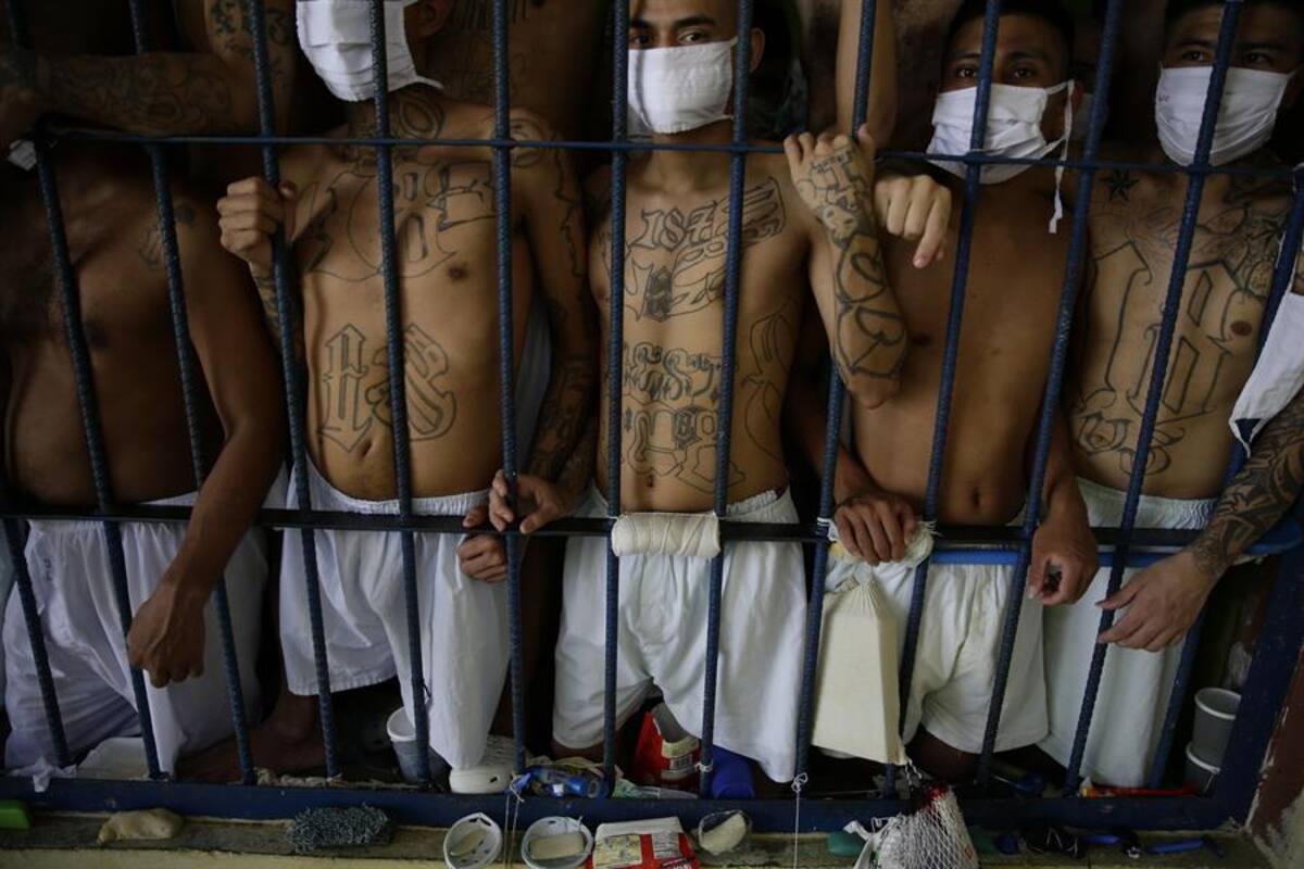 Pandillas, ¿el poder tras milagrosa baja de asesinatos en El Salvador?