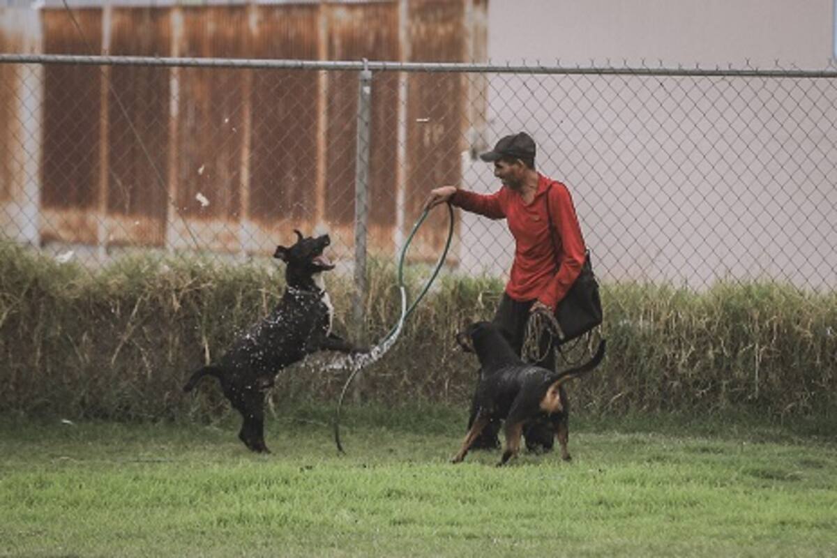 Clima Mexicali: El calor no da tregua con temperaturas de hasta 43°C