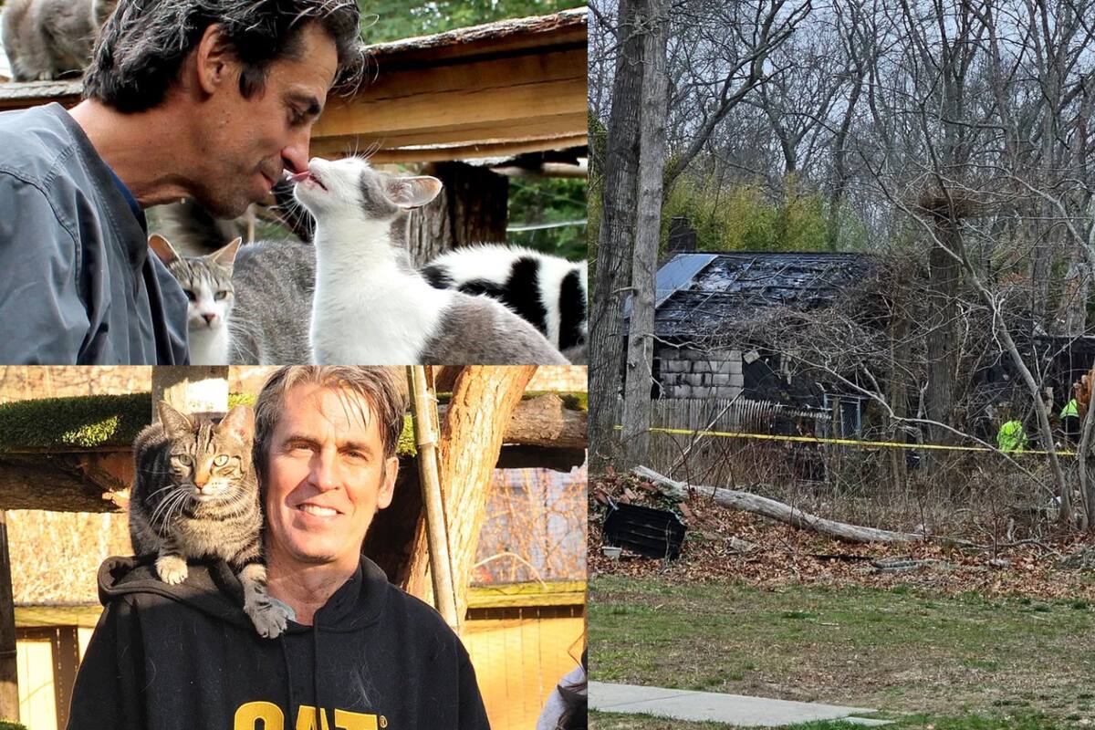 Fundador de un refugio para gatos muere al intentar salvar a los felinos de un incendio: ¿qué sucederá con los sobrevivientes?