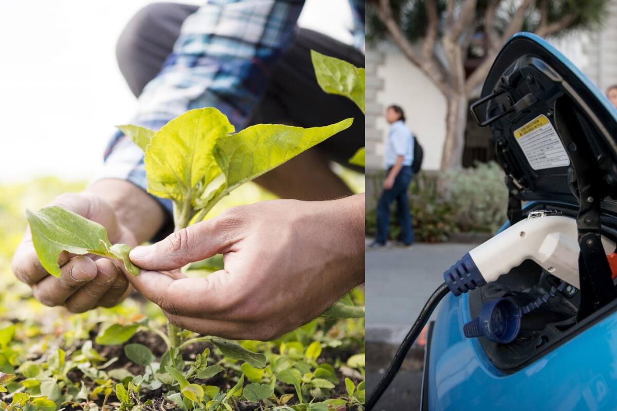 Efemérides del 9 de septiembre: ¿Qué pasó un día como hoy?