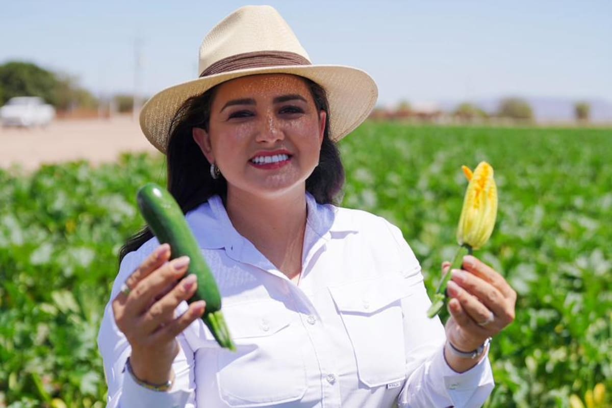 Destaca Célida López producción hortícola en la costa de Hermosillo con fuerte impacto económico