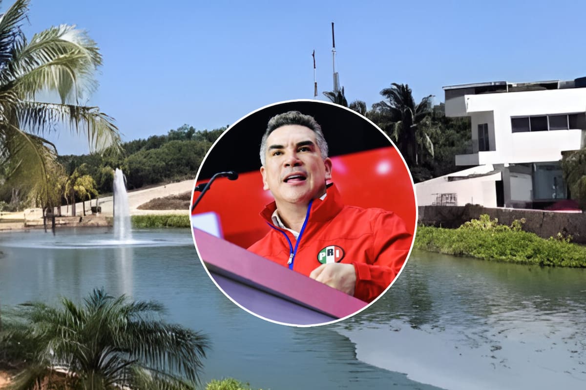Alito Moreno: Esto se sabe de la propiedad que compró en 150 mil pesos pero vale millones