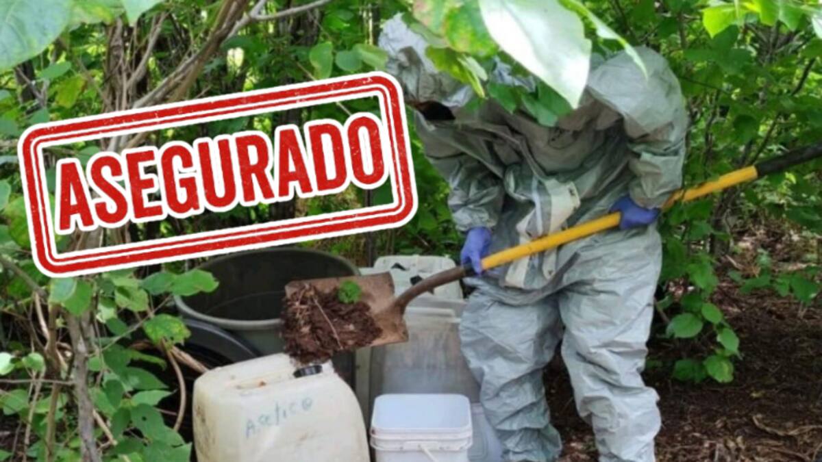 Destruyen tres almacenes de químicos para drogas sintéticas en Culiacán y Cosalá: hallan más de mil litros de sustancias peligrosas