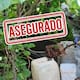 Destruyen tres almacenes de químicos para drogas sintéticas en Culiacán y Cosalá: hallan más de mil litros de sustancias peligrosas