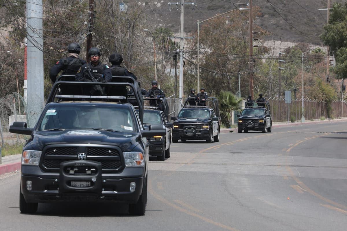 Los colores de los autos son negros y blancos, en tanto que los agentes portan un uniforme completamente negro con una leyenda en la espalda que dice “Protección Federal” con letras blancas.