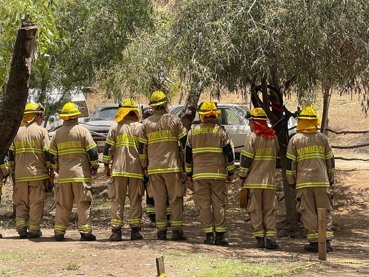Esto les permitiría ser más eficientes al momento de enfrentar estos voraces incendios. Foto: Carmen Gutiérrez