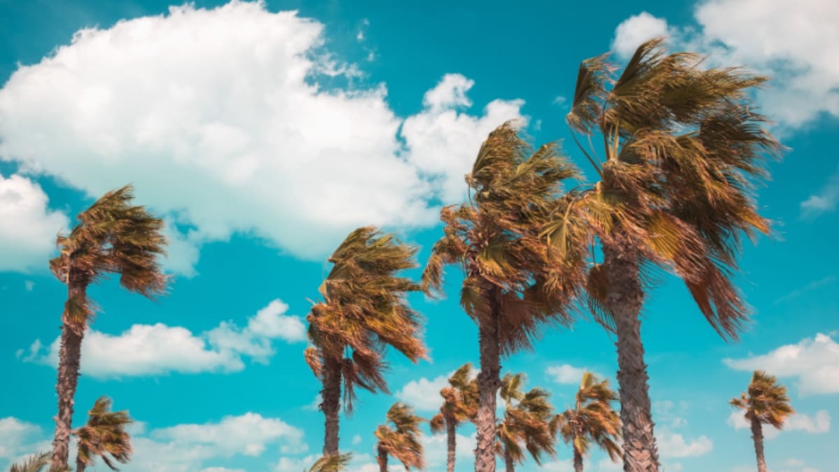 Alertan por mala calidad del aire en Mexicali y Tijuana; recomiendan usar cubrebocas y evitar actividades al aire libre