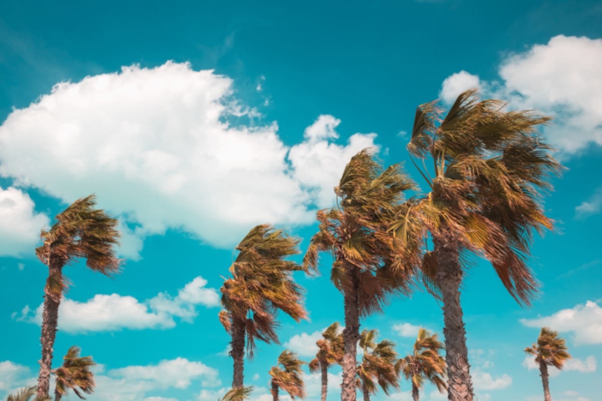 Alertan por mala calidad del aire en Mexicali y Tijuana; recomiendan usar cubrebocas y evitar actividades al aire libre