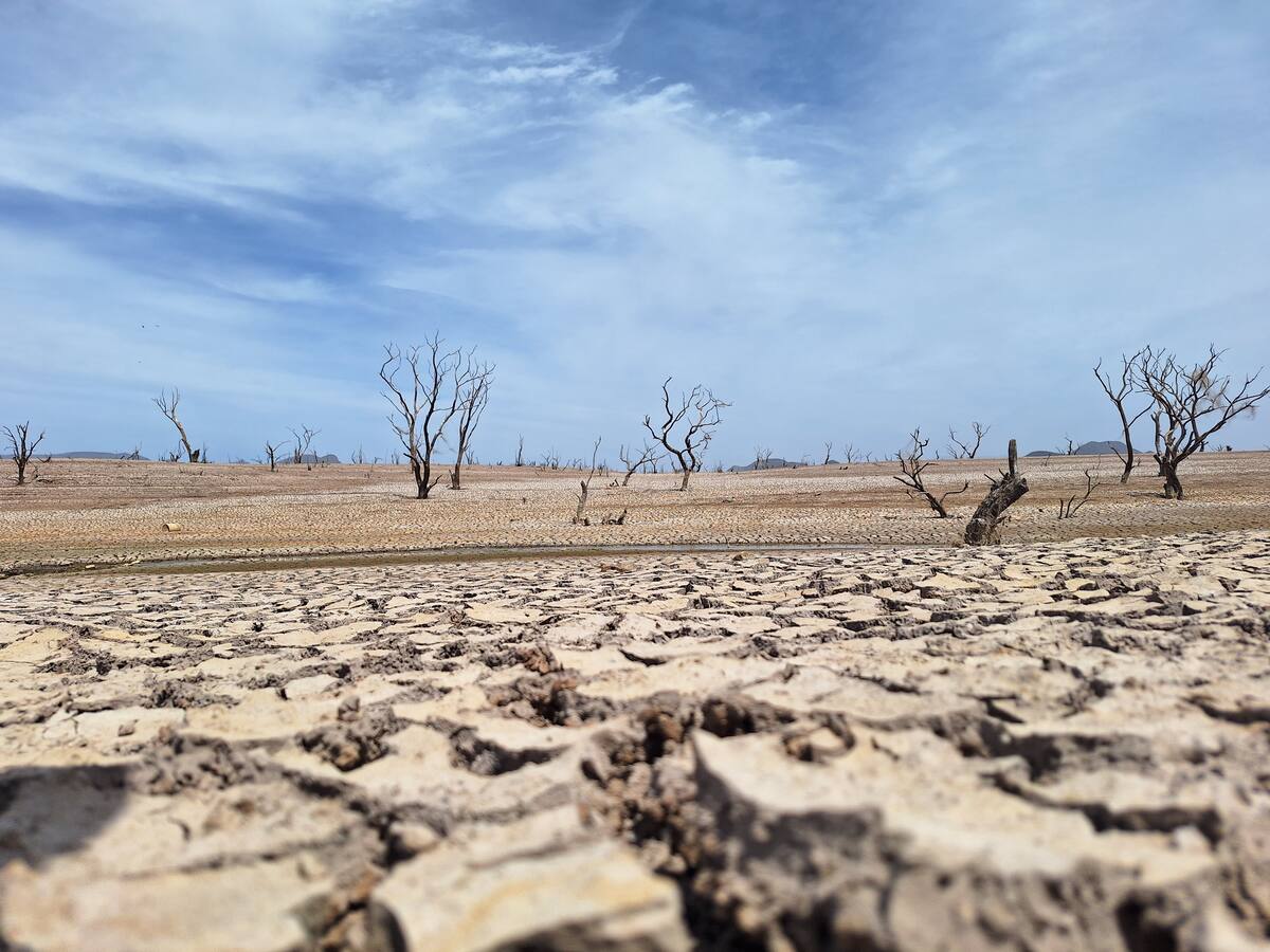 Los 72 municipios de Sonora cuentan con algún tipo de sequía, al registrar lluvias por debajo del promedio. FOTO: BANCO DIGITAL