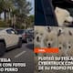“Es su dinero”: dueño de Tesla tapiza su auto con fotos de su mascota