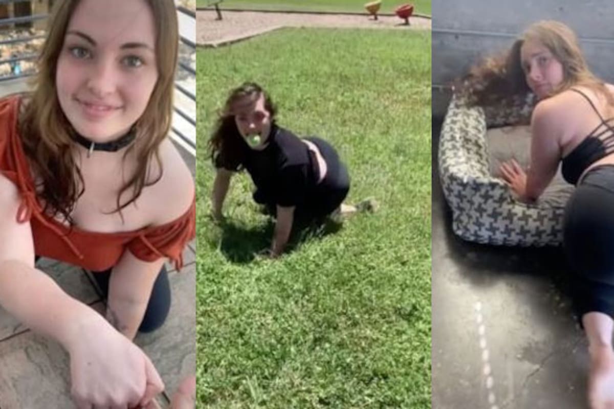 Chica que se cree cachorro abandona su trabajo para dedicarse a OnlyFans