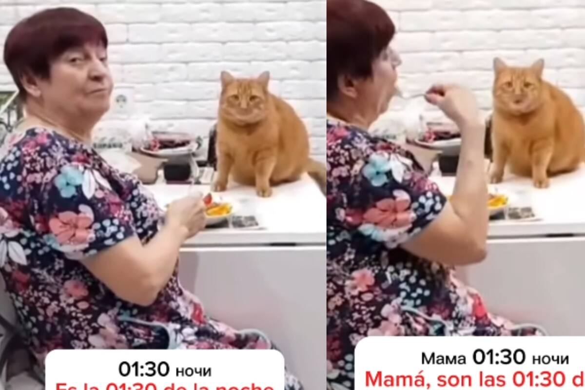 Hombre encuentra a su madre comiendo con el gato a la 1:30 de la madrugada