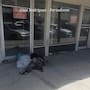 Aumenta la presencia de personas en situación de calle en el Centro de SLRC