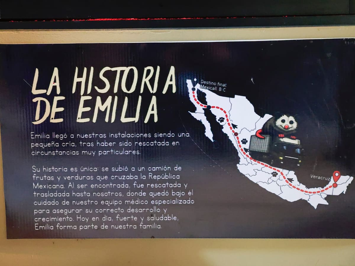 Foto: Juan J. Morales